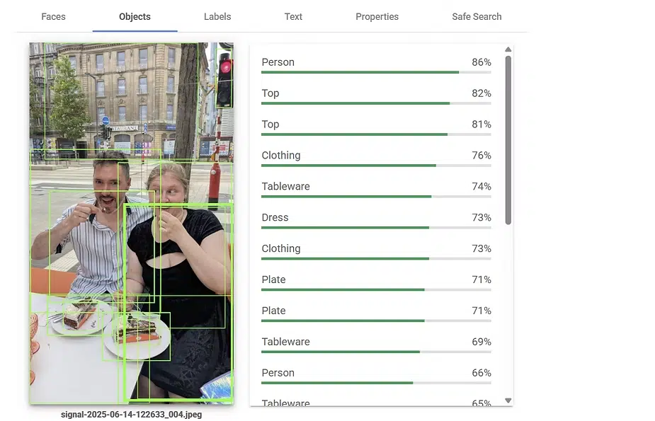Google Vision API Object analysis in a photo.