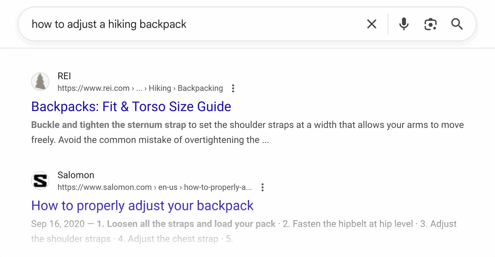 Google Serp Adjust Hiking Backpack Scaled