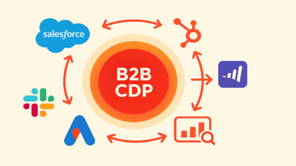 b2b-cdp