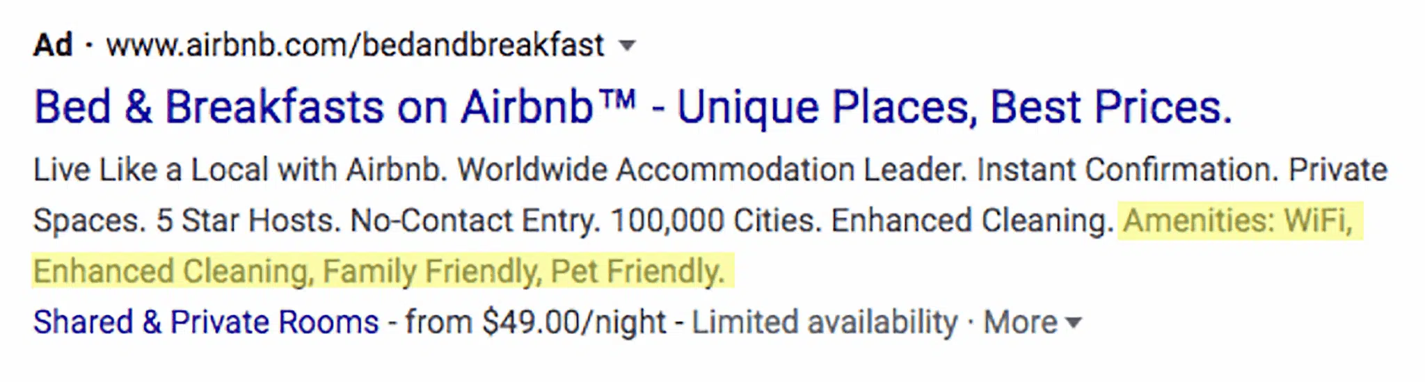 Structured Snippet Example Amenities Scaled