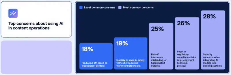 Top Concerns Using AI